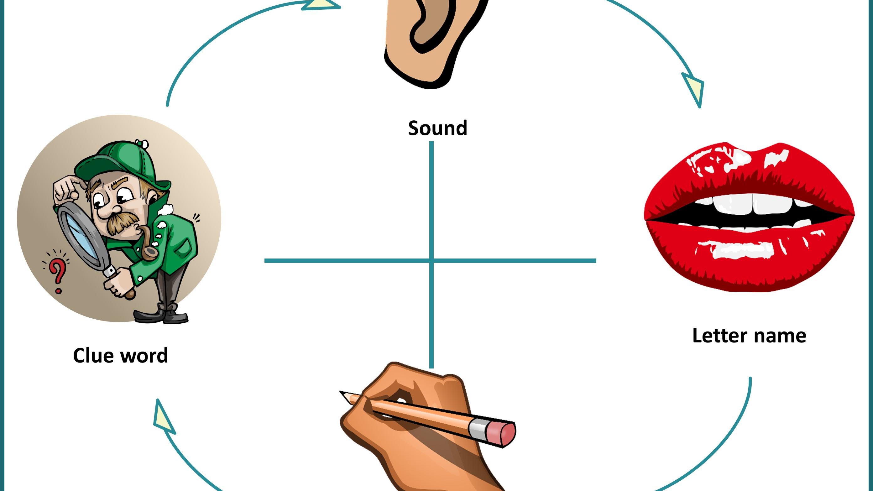 Illustration of the Stimulus Response Routine procedure. Four graphics are arranged in a circle. In a clockwise direction from the top: An ear representing sound.   A mouth representing the letter name.   A hand holding a pencil representing cursive writing. A detective representing clue word.