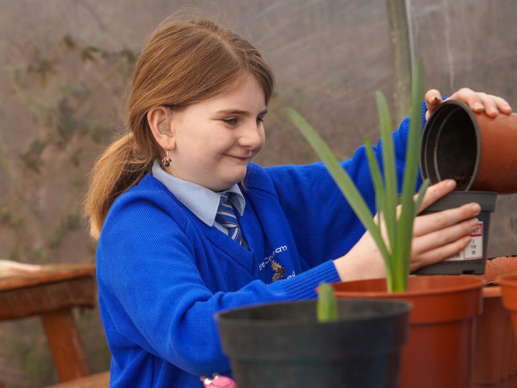 Child potting plants